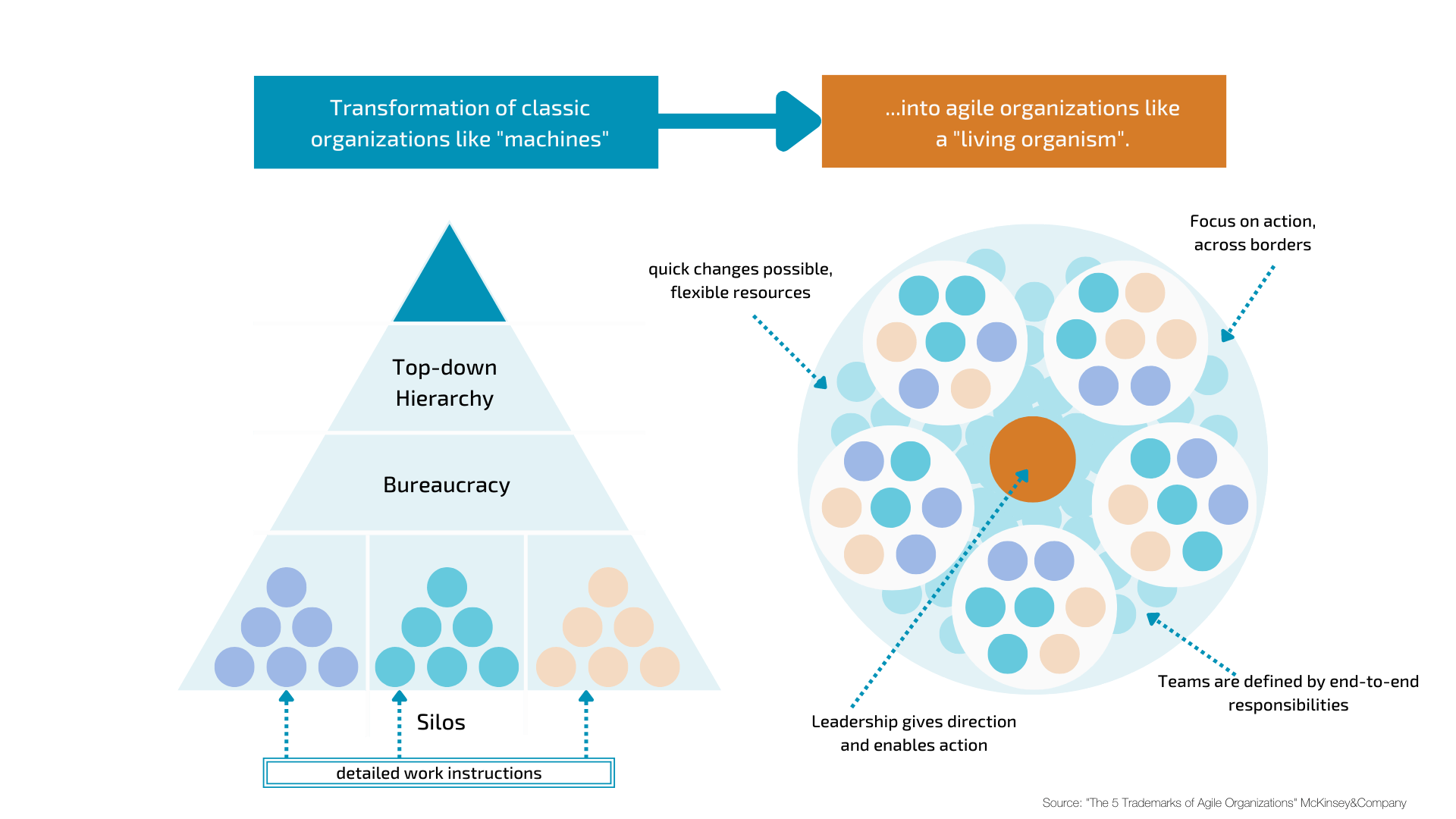 Figure 4 Development towards an agile organisation as a new organisational paradigm (Source: 'The 5 Trademarks of Agile Organizations' McKinsey&Company)